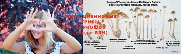 экстази Володарск